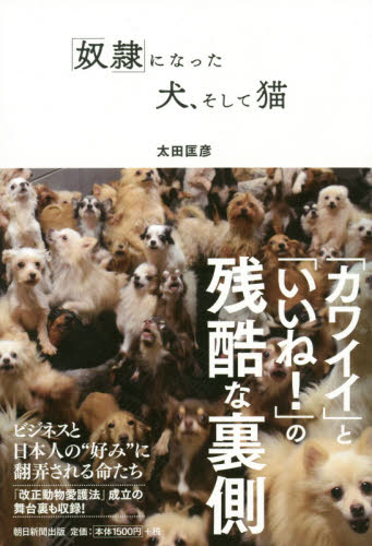 「奴隷」になった犬、そして猫 太田匡彦／著 ノンフィクション書籍その他の商品画像
