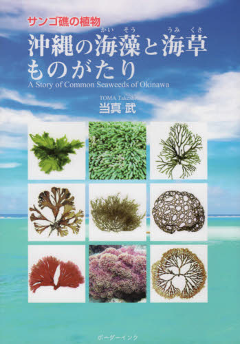 沖縄の海藻と海草ものがたり　サンゴ礁の植物 当真武／著 植物学一般の本の商品画像