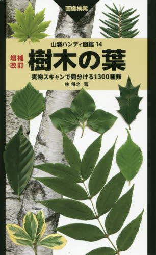 樹木の葉 実物スキャンで見分ける1300種類 画像検索 (山溪ハンディ図鑑 14) (増補改訂) 林将之/著 フィールド図鑑の商品画像