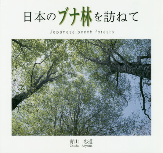 日本のブナ林を訪ねて 青山忠道／著 ネーチャー写真集の商品画像