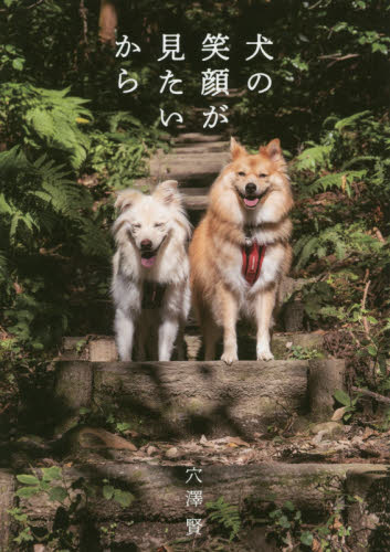 犬の笑顔が見たいから 穴澤賢／著 教養新書の本その他の商品画像