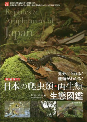 日本の爬虫類・両生類生態図鑑　見分けられる！種類がわかる！ （見分けられる！種類がわかる！） （増補改訂） 川添宣広／著 フィールド図鑑の商品画像
