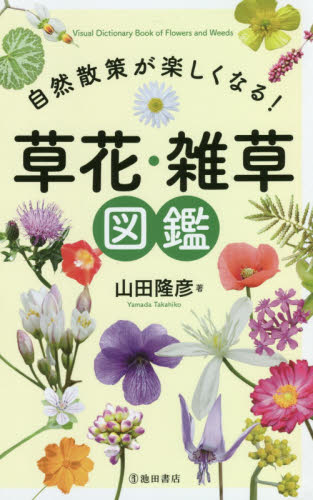 自然散策が楽しくなる!草花・雑草図鑑 山田隆彦/著 フィールド図鑑の商品画像