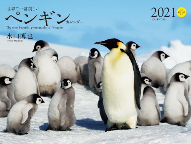 ’２１　世界で一番美しいペンギンカレンダ （ワイド判カレンダー） 水口　博也　写真 カレンダーの商品画像
