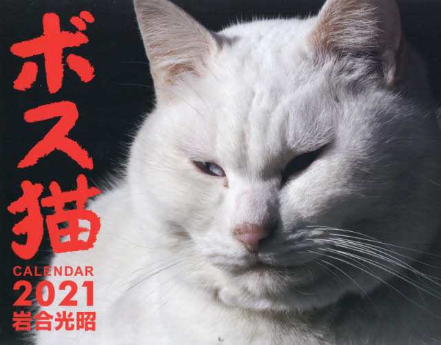 カレンダー　’２１　ボス猫 岩合　光昭　写真 カレンダーの商品画像