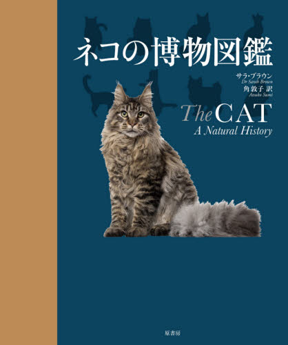 ネコの博物図鑑 サラ・ブラウン/著 角敦子/訳 動物学一般の本の商品画像