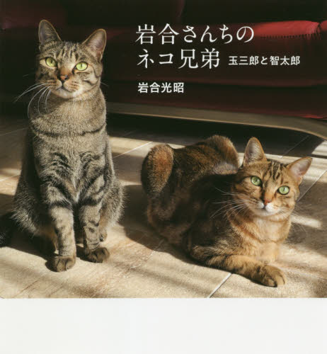 岩合さんちのネコ兄弟 玉三郎と智太郎 (IWAGO’S BOOK 7) 岩合光昭/著 ペット写真集の商品画像