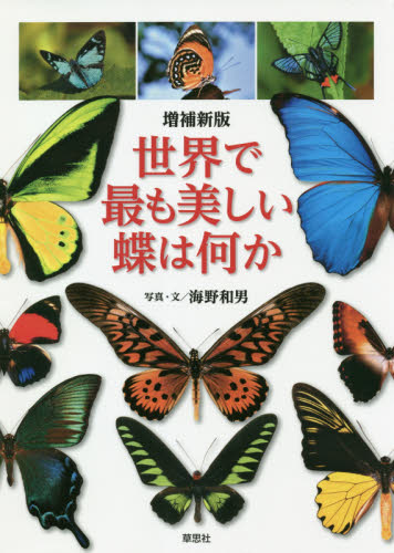 世界で最も美しい蝶は何か （増補新版） 海野和男／写真・文 科学の本一般の商品画像