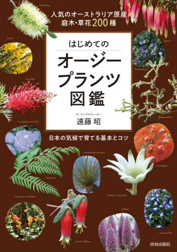 はじめてのオージープランツ図鑑 人気のオーストラリア原産庭木・草花200種 日本の気候で育てる基本とコツ (人気のオーストラリア原産庭木・草花) 遠藤昭/著 ガーデニングの本の商品画像