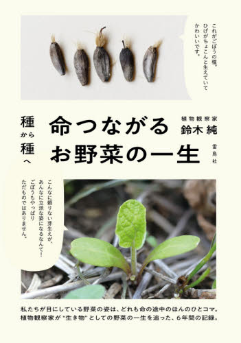 種から種へ命つながるお野菜の一生 鈴木純／文・写真 農学一般の本の商品画像