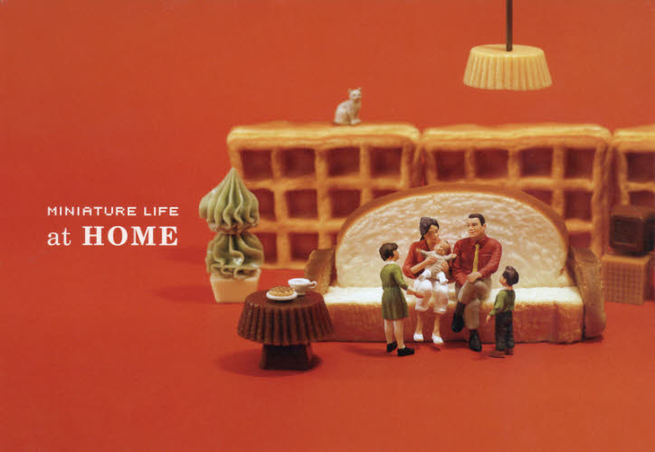 ＭＩＮＩＡＴＵＲＥ　ＬＩＦＥ　ａｔ　ＨＯＭＥ 田中達也／写真・編集・デザイン アート写真集その他の商品画像