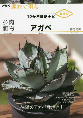 多肉植物アガベ (NHK趣味の園芸 12か月栽培ナビNEO) 【ツル