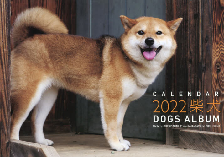 カレンダー　’２２　ドッグズアルバム柴犬 新美　敬子　写真 カレンダーの商品画像