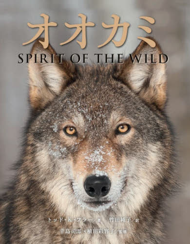 オオカミ SPIRIT OF THE WILD トッド・K・フラー/著 竹田純子/訳 幸島司郎/監修 植田彩容子/監修 ネーチャー写真集の商品画像