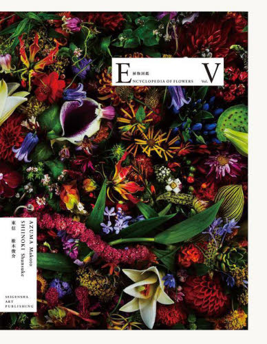 植物図鑑 5 東信/アートワーク 椎木俊介/写真 AMKK/監修 アート写真集その他の商品画像