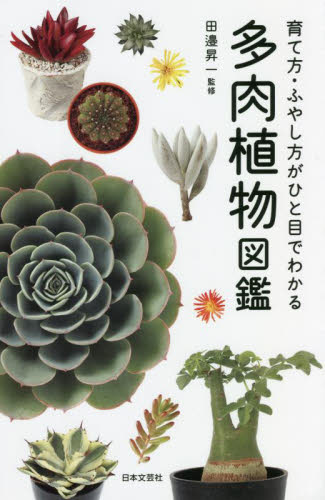 多肉植物図鑑 育て方・ふやし方がひと目で分かる 田邉昇一/監修 観葉植物の本の商品画像