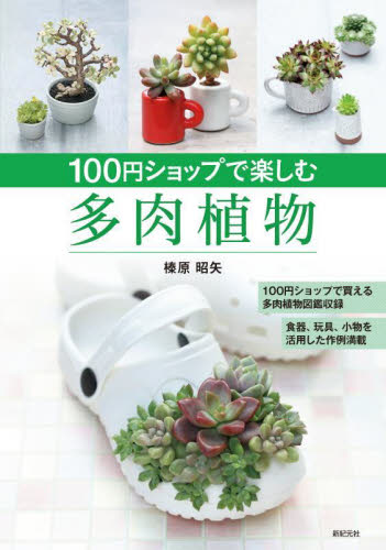 １００円ショップで楽しむ多肉植物 榛原昭矢／著 観葉植物の本の商品画像