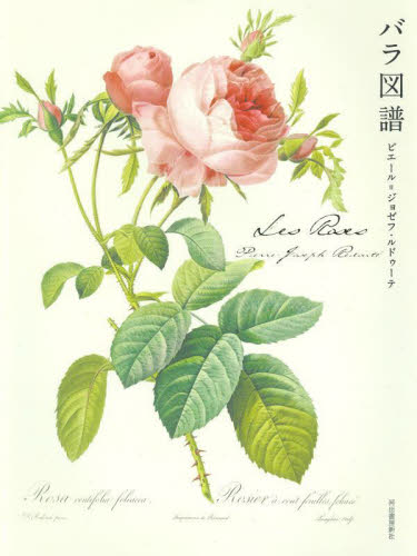 Ｌｅｓ　Ｒｏｓｅｓ　バラ図譜 ピエール＝ジョゼフ・ 西洋画の本の商品画像