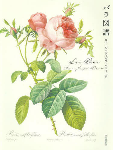 Les Roses バラ図譜 ピエール=ジョゼフ・ 西洋画の本の商品画像
