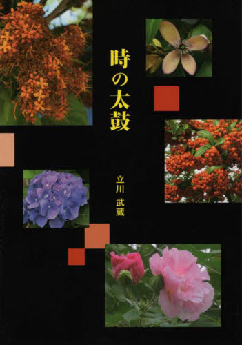 時の太鼓 立川武蔵/著 日本の詩、詩集の商品画像