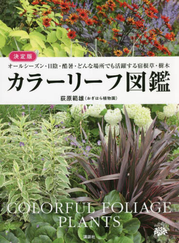 カラーリーフ図鑑 決定版 オールシーズン・日陰・酷暑・どんな場所でも活躍する宿根草・樹木 荻原範雄/著 ガーデニングの本の商品画像