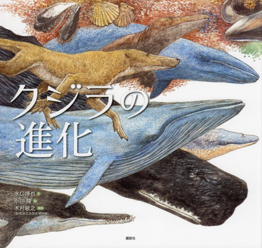 クジラの進化 (講談社の創作絵本) 水口博也/文 小田隆/絵 木村敏之/監修 日本の絵本の商品画像