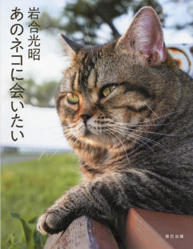 あのネコに会いたい 岩合光昭/著 ペット写真集の商品画像