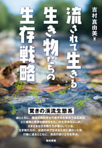 流されて生きる生き物たちの生存戦略　驚きの渓流生態系 吉村真由美／著 動物生態学の本の商品画像
