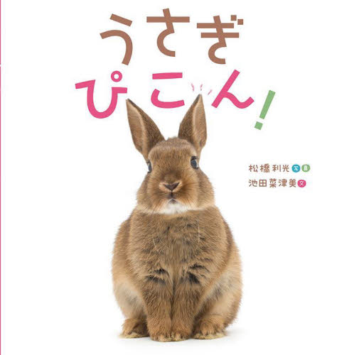 うさぎぴこん! 松橋利光/写真 池田菜津美/文 知育絵本の商品画像