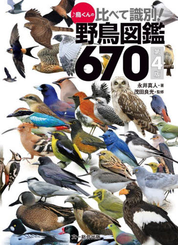 ♪鳥くんの比べて識別!野鳥図鑑670 (第4版) 永井真人/著 茂田良光/監修 フィールド図鑑の商品画像