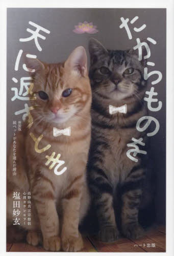 たからものを天に返すとき 新装版 塩田妙玄/著 教養新書の本その他の商品画像
