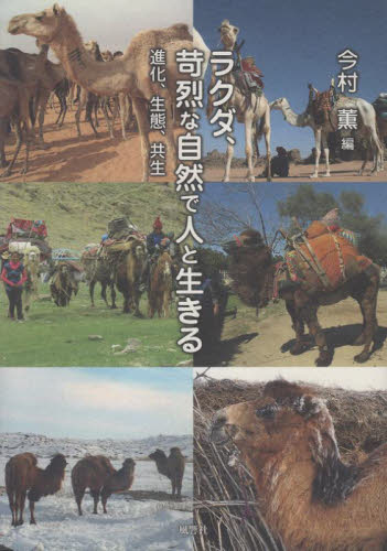ラクダ、苛烈な自然で人と生きる　進化、生態、共生 今村薫／編 動物生態学の本の商品画像