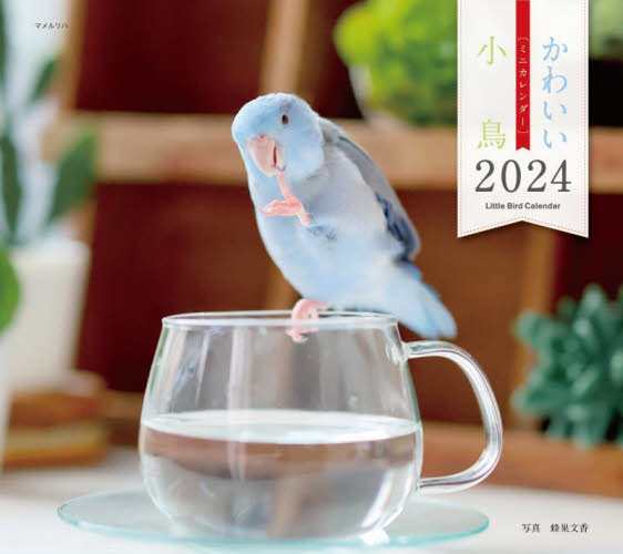 ミニカレンダー　’２４　小鳥 蜂巣文香 カレンダーの商品画像