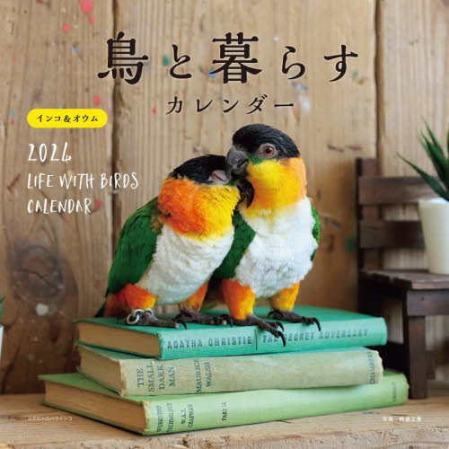 カレンダー　’２４　鳥と暮らす　インコ＆ 蜂巣文香 カレンダーの商品画像