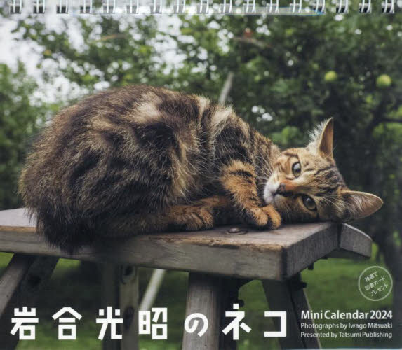 ’２４　ミニカレンダー　岩合光昭のネコ 岩合光昭 カレンダーの商品画像