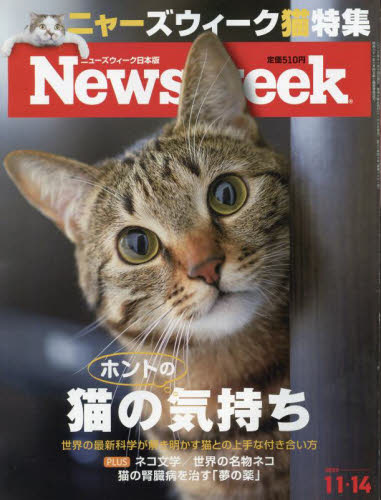 日本版ニューズウィーク ２０２３年１１月１４日号 （ＣＣＣメディア）