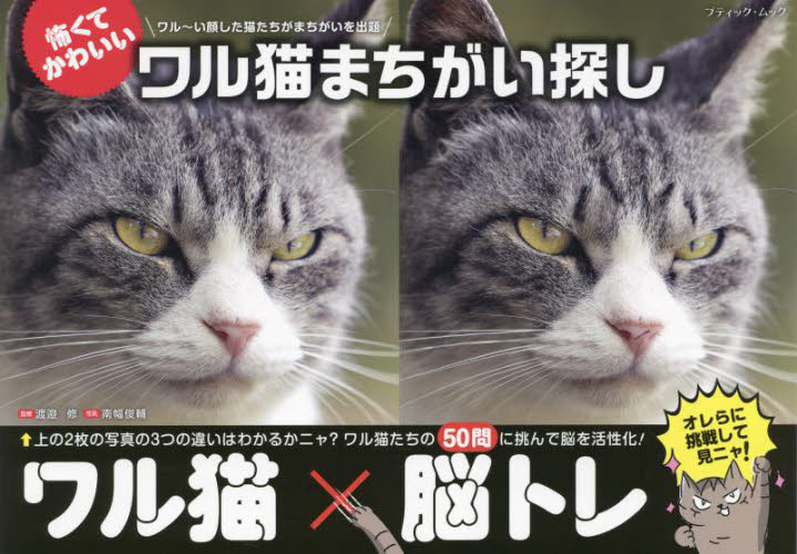 ワル猫まちがい探し 怖くてかわいい ワル猫たちの50問に挑んで脳を活性化しよう! (ブティック・ムック 1718) 渡邉修/監修 南幅俊輔/撮影 パズルの本の商品画像