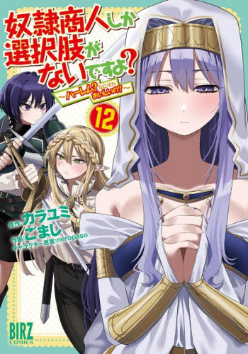 奴隷商人しか選択肢がないですよ？　１２ （バーズコミックス） カラユミ 幻冬舎　バーズコミックスの商品画像