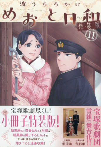特装版　波うららかに、めおと日和　１１ （プレミアムＫＣ） 西香はち 講談社 モーニングコミックスの商品画像