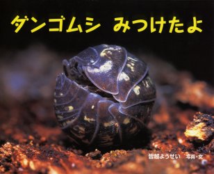 ダンゴムシみつけたよ （ふしぎいっぱい写真絵本　１） 皆越ようせい／写真・文 3、4歳向け絵本その他の商品画像