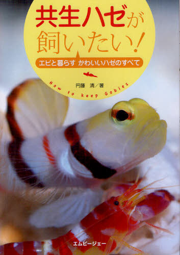 共生ハゼが飼いたい！　エビと暮らすかわいいハゼのすべて （アクアライフの本） 円藤清／著 鑑賞魚の本の商品画像