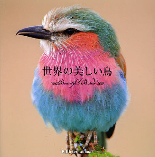 世界の鳥を訪ねて 写真集 世界の美しい鳥 上田恵介／監修 ネーチャー写真集 - 最安値・価格比較