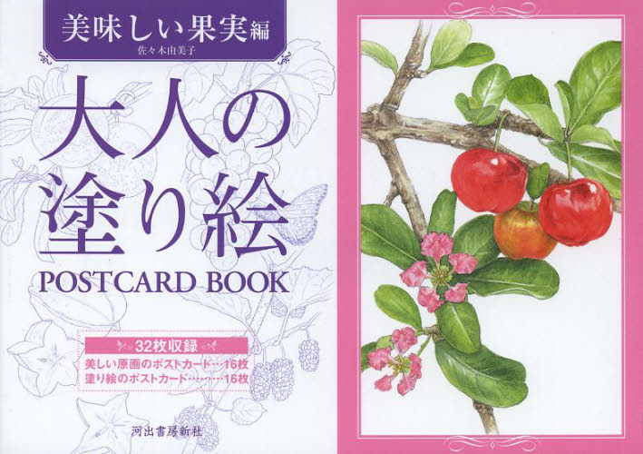 大人の塗り絵ＰＯＳＴＣＡＲＤ　ＢＯＯＫ　美味しい果実編 佐々木由美子／著 絵画技法の本の商品画像