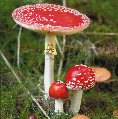 世界の美しいきのこ 保坂健太郎／監修 ネーチャー写真集の商品画像