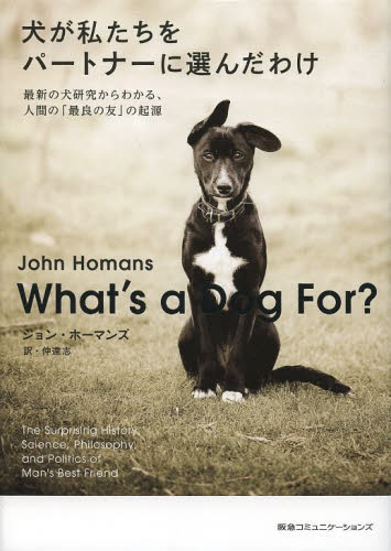 犬が私たちをパートナーに選んだわけ　最新の犬研究からわかる、人間の「最良の友」の起源 ジョン・ホーマンズ／著　仲達志／訳 教養新書の本その他の商品画像