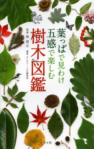 葉っぱで見わけ五感で楽しむ樹木図鑑 林将之/監修 ネイチャー・プロ編集室/編著 フィールド図鑑の商品画像