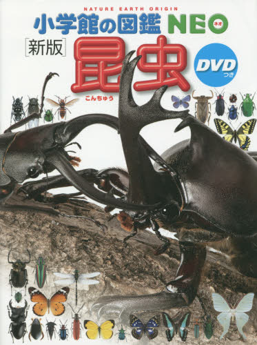 昆虫 (小学館の図鑑NEO 3) (新版) 小池啓一/指導・執筆 小野展嗣/指導・執筆 町田龍一郎/指導・執筆 田辺力/指導・執筆