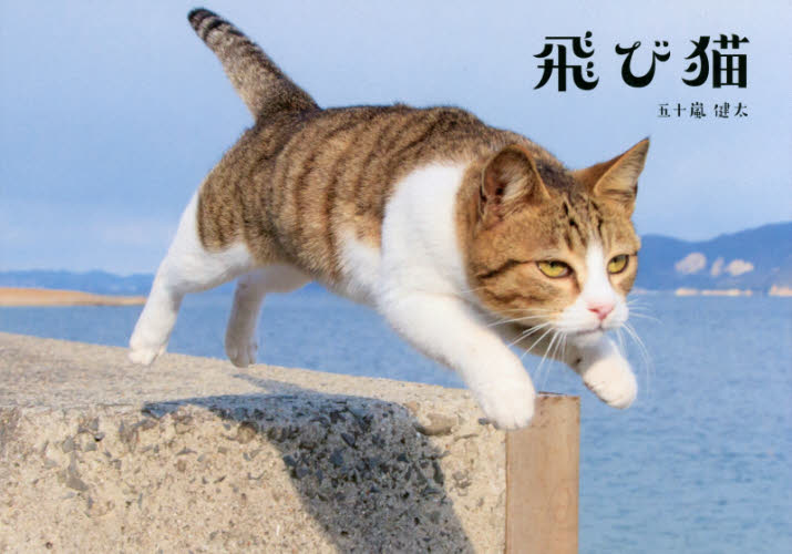 飛び猫 五十嵐健太／著 ペット写真集の商品画像