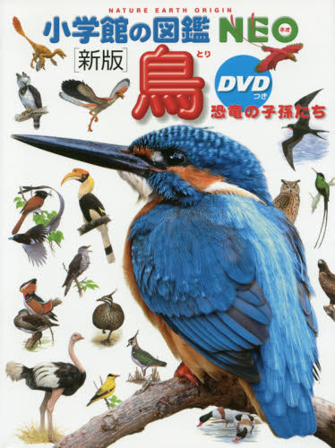 鳥　恐竜の子孫たち （小学館の図鑑ＮＥＯ　５） （新版） 上田恵介／監修　柚木修／指導・執筆　水谷高英／ほか画 学習図鑑その他の商品画像