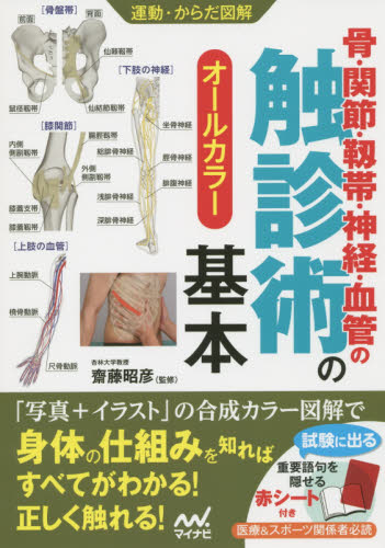 骨・関節・靱帯・神経・血管の触診術の基本　オールカラー （運動・からだ図解） 齋藤昭彦／監修 トレーニングの本その他の商品画像